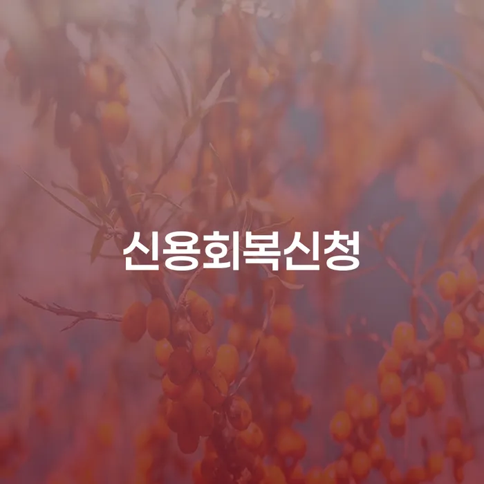개인회생진행 워크아웃 살펴보세요