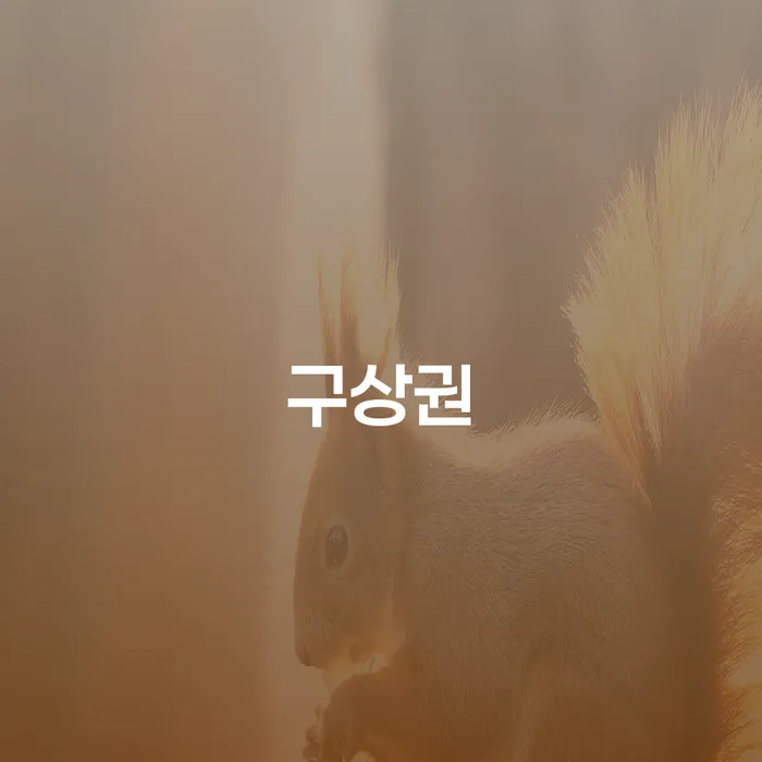 개인회생후신용등급 신용회복 상담받아보기