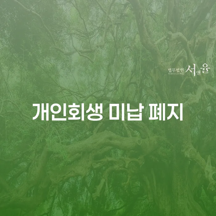 의사파산 빚 합법적인 빠른방법 잘하는 방법은