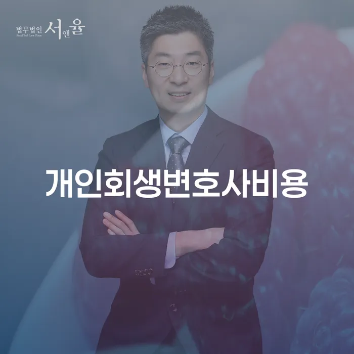 다중채무자 연체 시 개인회생 문제해결방법 체크리스트