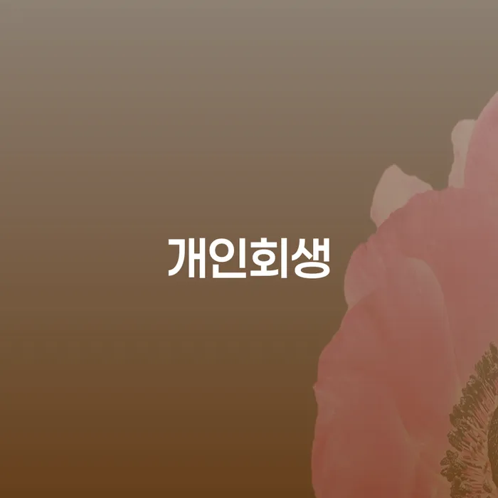 개인회생서류 채무조정제도을 이용하여 알고신청하기
