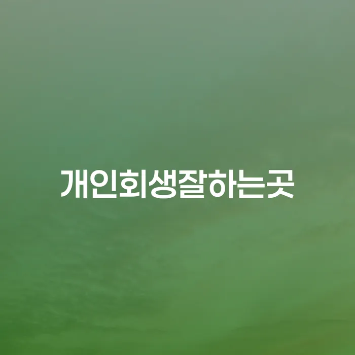 도박회생 개인회생,개인파산으로 노하우들