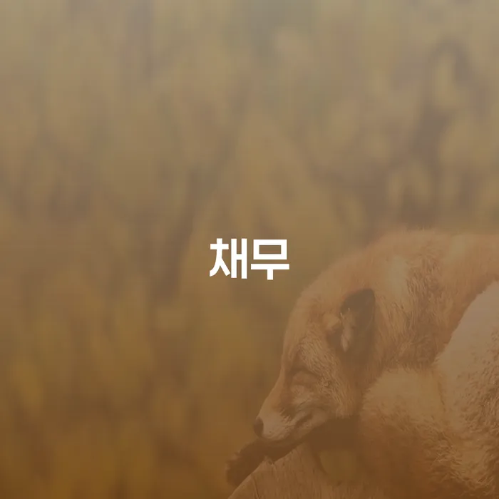 개인회생수임료대출 안하고 자체 분납이 가능한 연체 채무 신속해결방법 면책받고