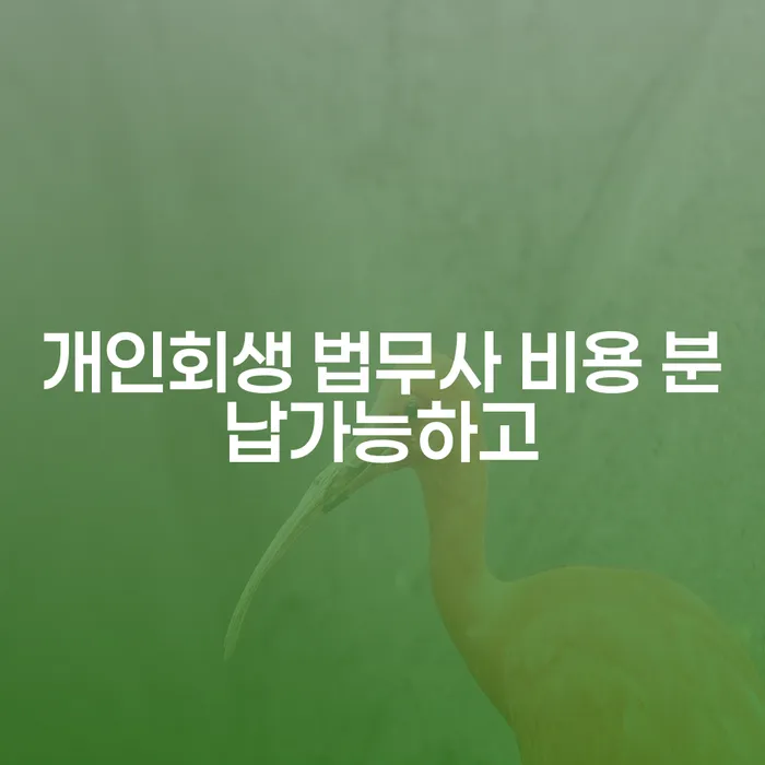 제천시 신용불량 빚 합법적인 빠른방법 걱정이라면