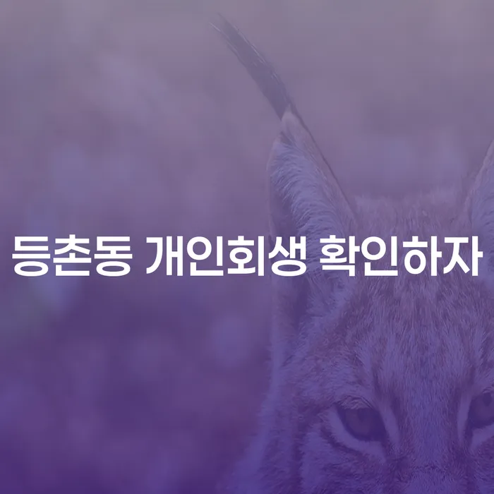 등촌동 개인회생 확인하자