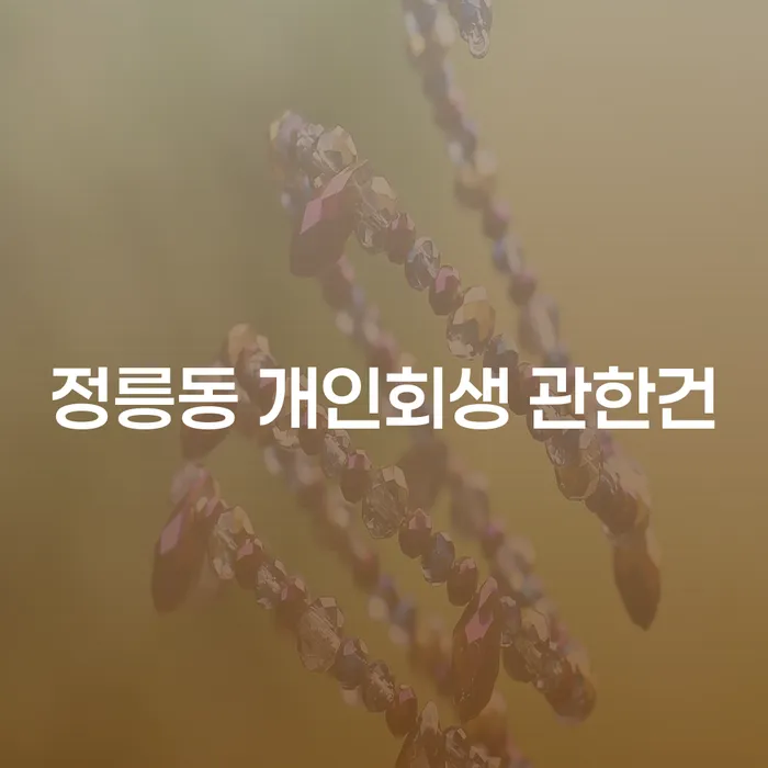 정릉동 개인회생 관한건