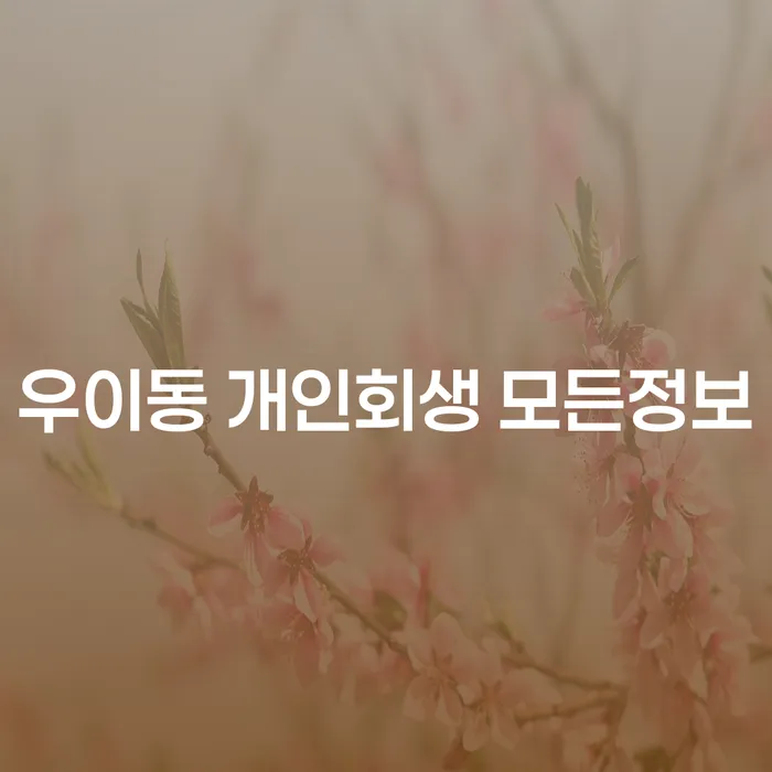 우이동 개인회생 모든정보