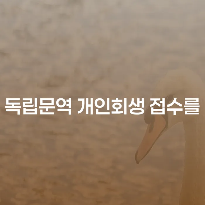 독립문역 개인회생 접수를