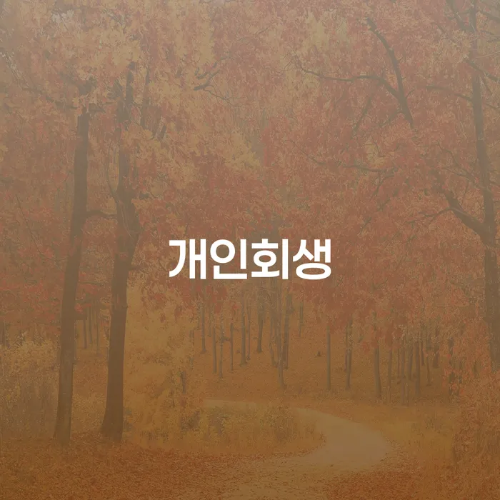 40대 직장인 3110만원 채무 개인회생 신청이 가능할까요?