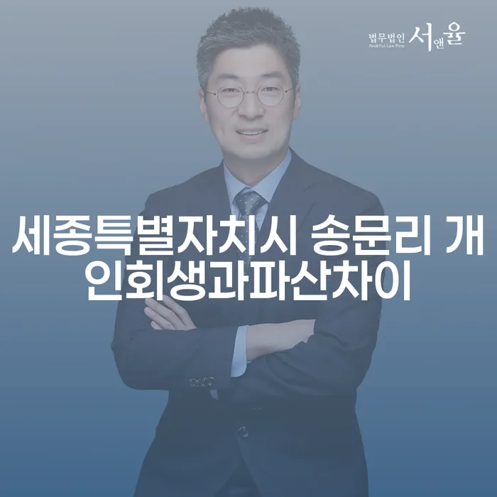 세종특별자치시 송문리에서 개인회생과 파산, 어떻게 다를까요?